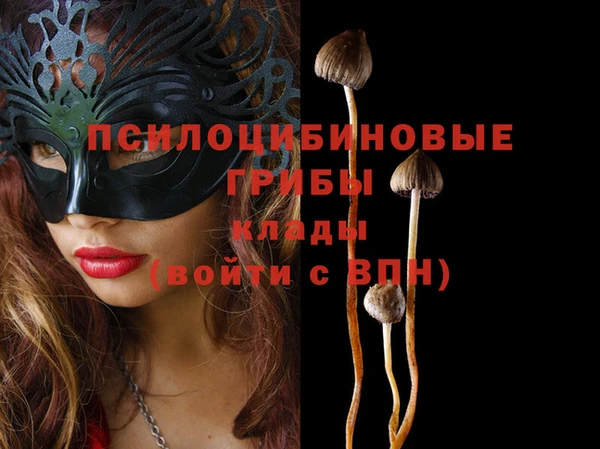 мяу мяу мука Заволжье