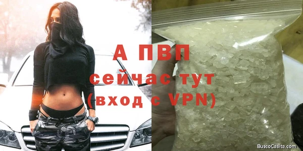 СК Заводоуковск